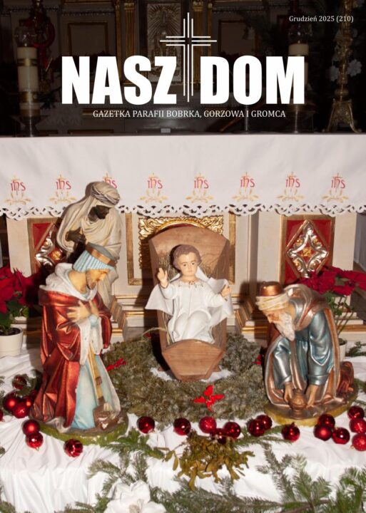 NASZ DOM grudzień 202